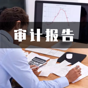 审计报告